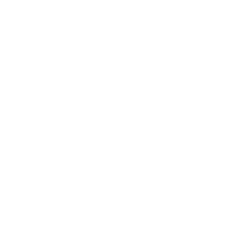 Logo Pilion, client Moebius